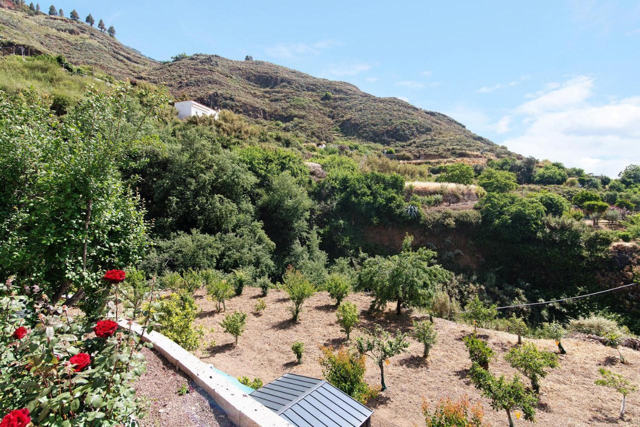 فيلا Casa Abuela Fela فيغا دي سان ماتيو المظهر الخارجي الصورة